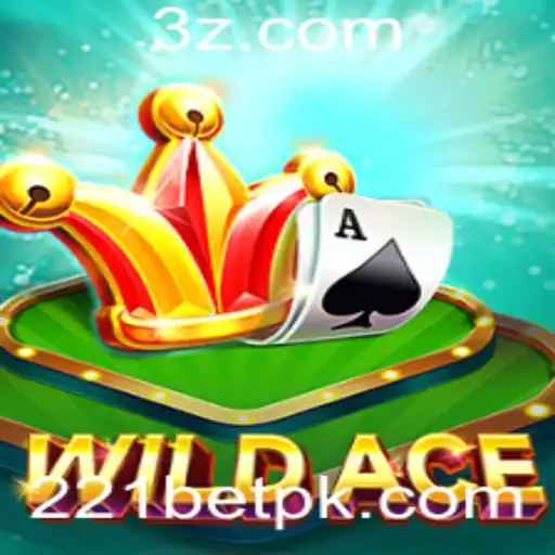 221bet Casino Withdrawal